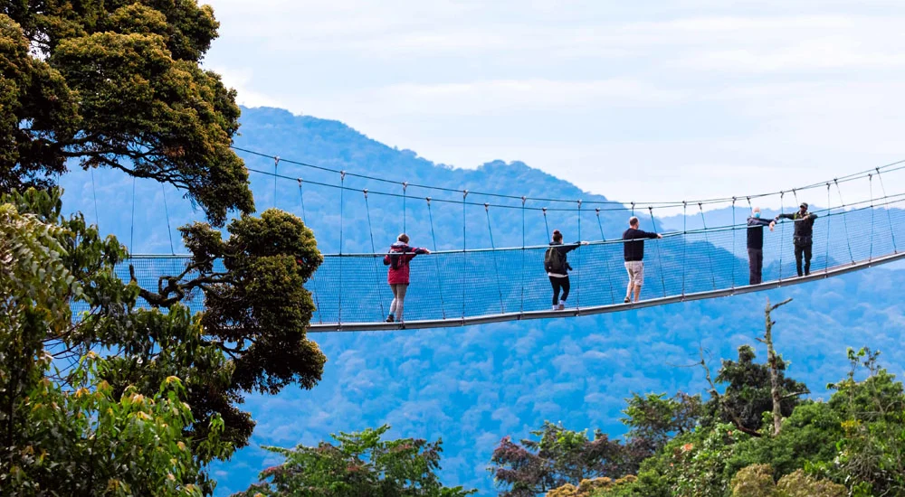 Nyungwe Forest National Park